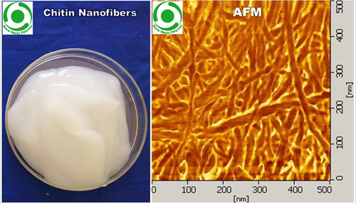 تولید تجاری نانو سلولز و نانوکیتین از ضایعات