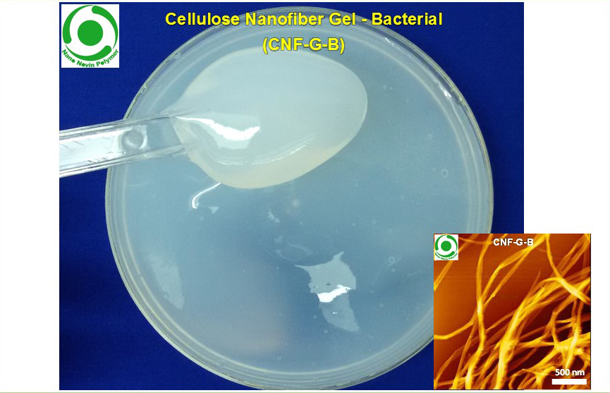 ژل نانوفیبر سلولز-باکتریایی (CNF-G-B)