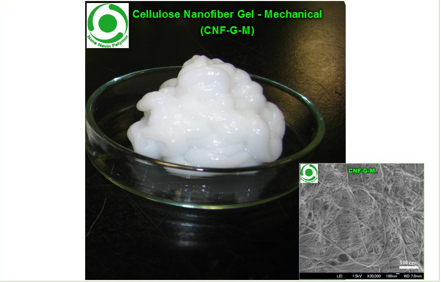 ژل نانوفیبر سلولز- مکانیکی (CNF-G-M)