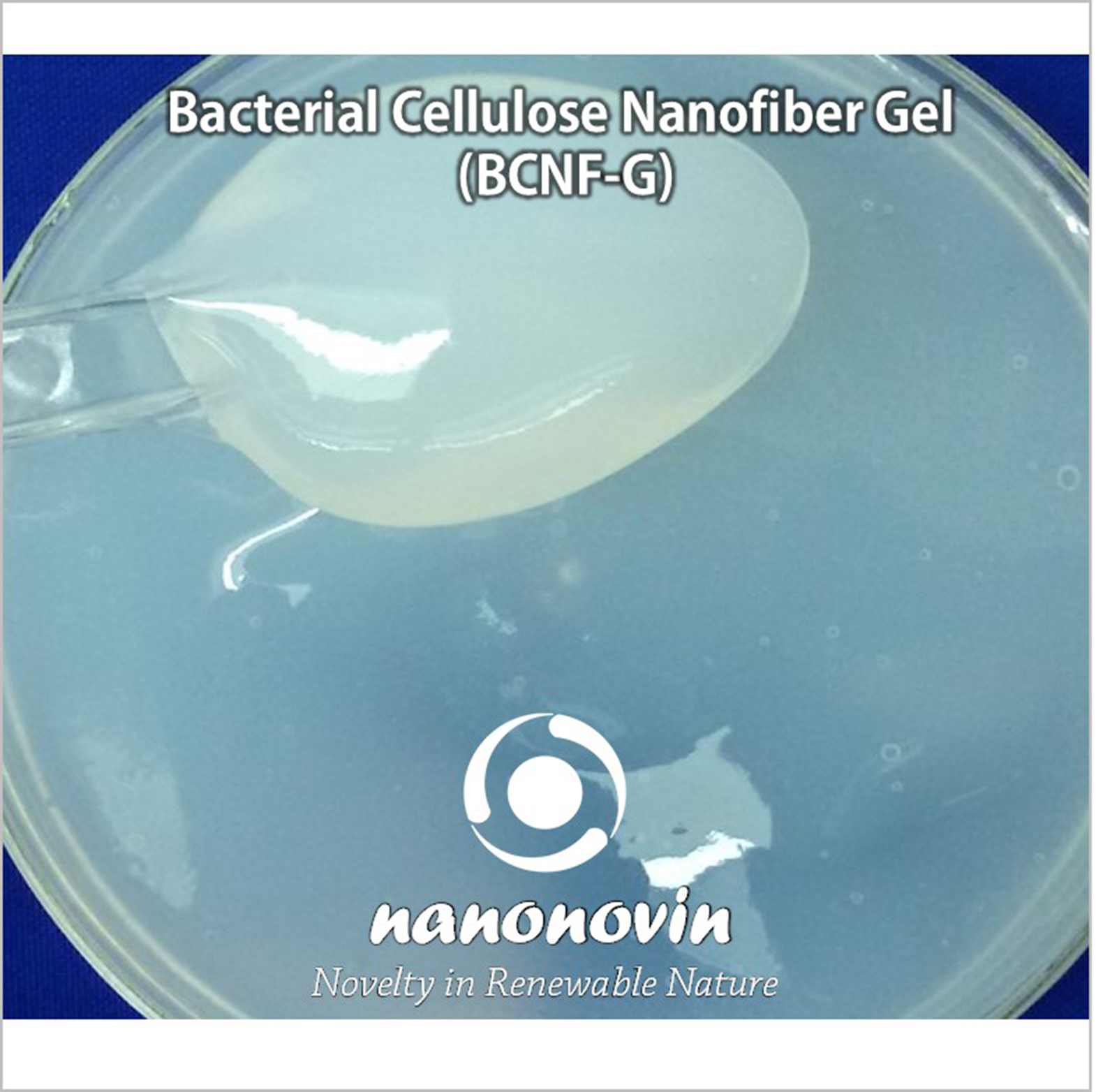 Oxidized Bacterial Cellulose Nanofiber Gel (OBCNF-G)- 2%