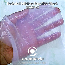 Bacterial Cellulose Nanofiber sheet (BCNF-S)- 200*300*2 mm