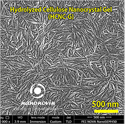 Hydrolyzed Cellulose Nanocrystal Gel (HCNC-G)-6%